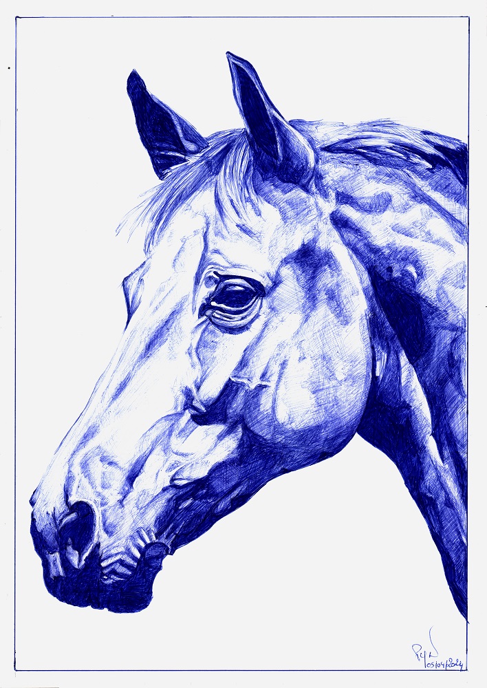 "Cheval l’dire à ma mère" - Reproduction numérotée de 1 à 40 et signée de l'artiste. Dessin original réalisé au stylo-bille Bic bleu, sur papier lisse multitechnique 250g/m² au format A3 - Reproduction en tirage laser sur papier lisse 210g/m² au format A3.